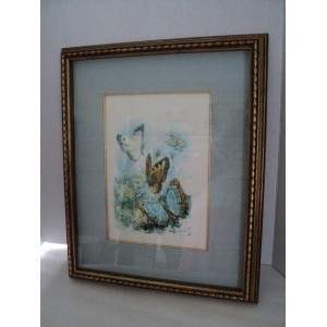 FRAMED MATTED SHADOW BOX BUTTERFLIES AND FLOWERS ART SIGNED BY ARTIST   183369961665